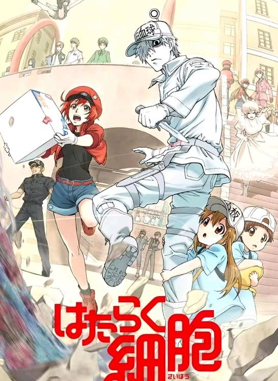 日本动漫《工作细胞》1-2部合集+剧场版+BLACK+特典 简中字幕-八方虚拟货源网